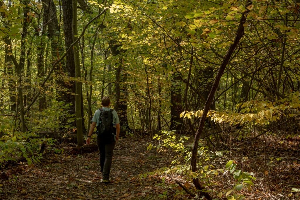 Man hiking in forest after attending opioid treatment programs in indiana.